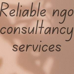 Ngo Consultancy 